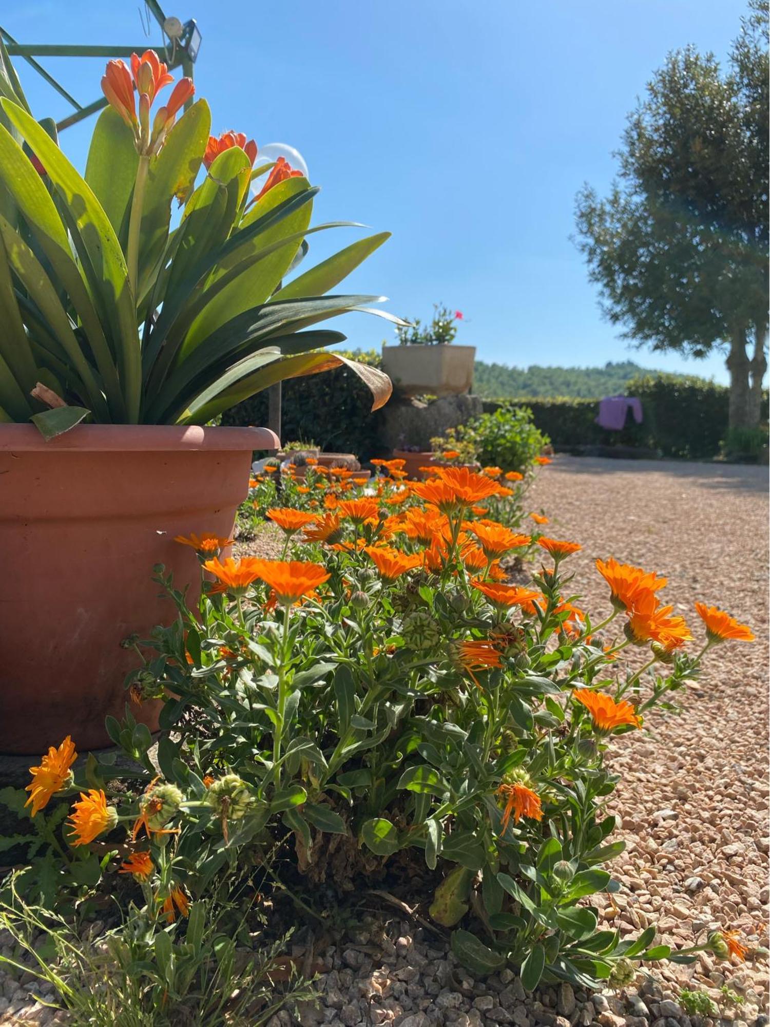Casa Vacanze Podere San Giusto Volterra Bagian luar foto