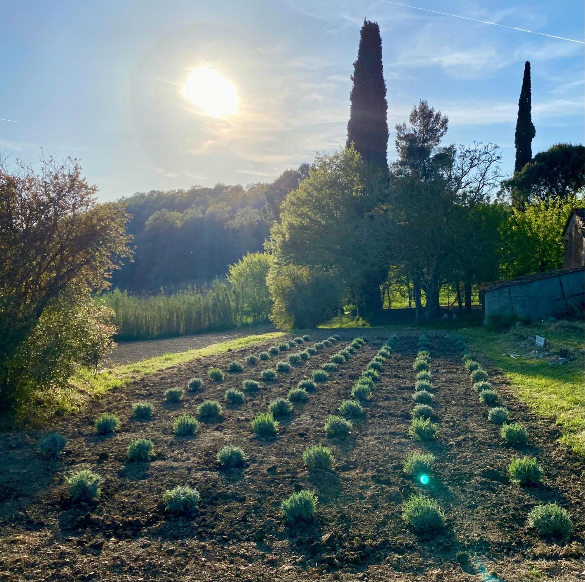 Casa Vacanze Podere San Giusto Volterra Bagian luar foto