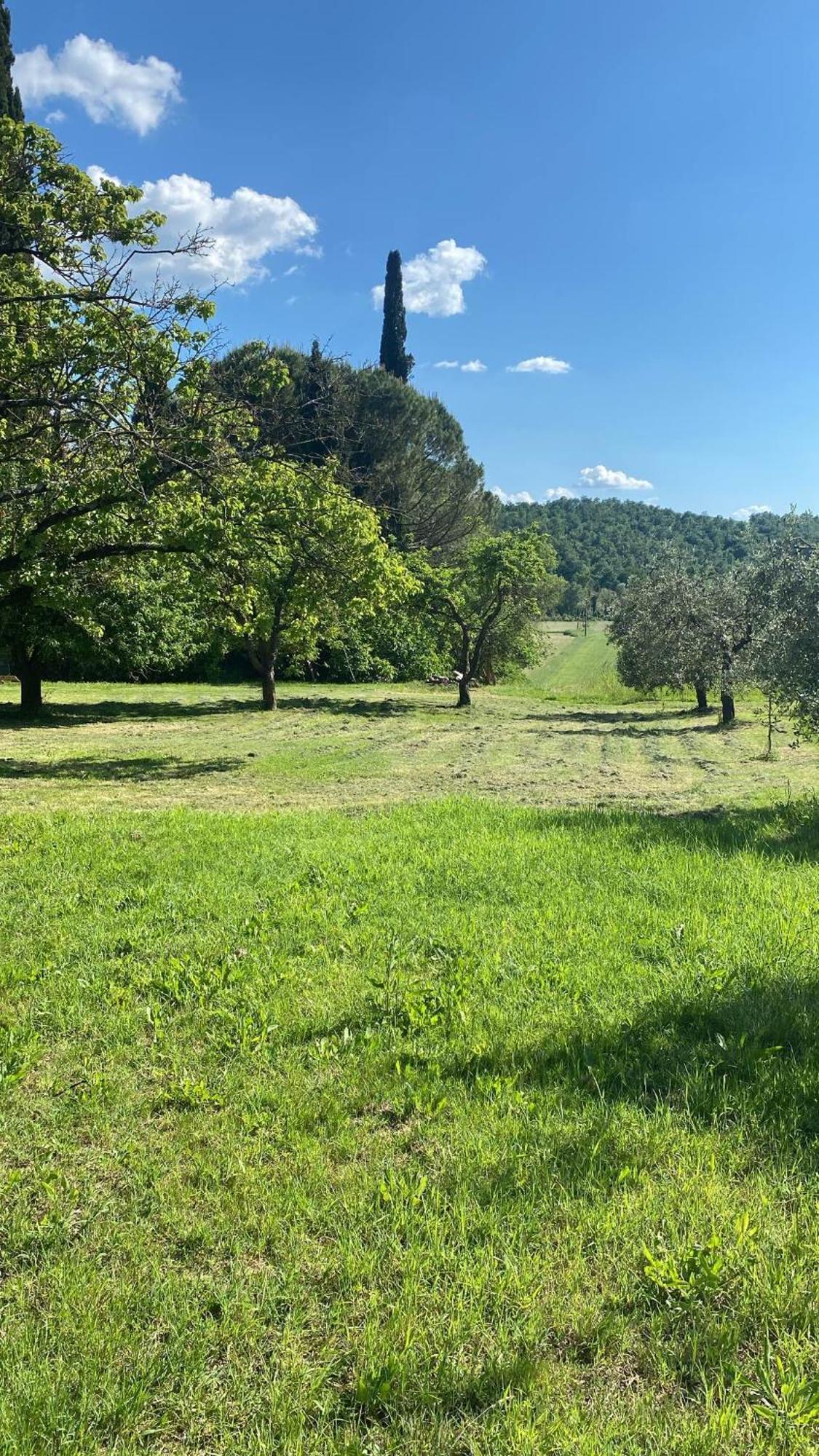 Casa Vacanze Podere San Giusto Volterra Bagian luar foto