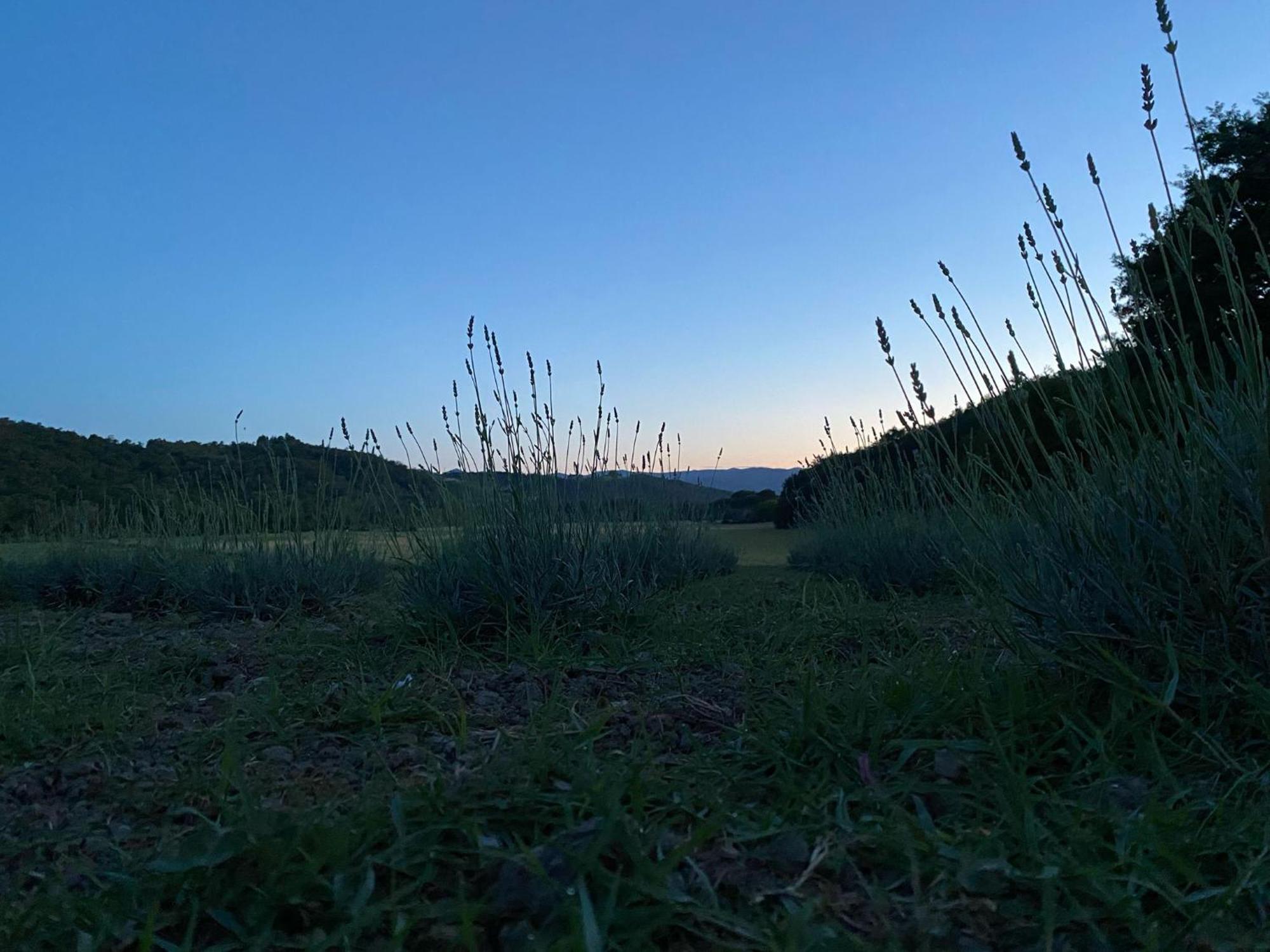 Casa Vacanze Podere San Giusto Volterra Bagian luar foto