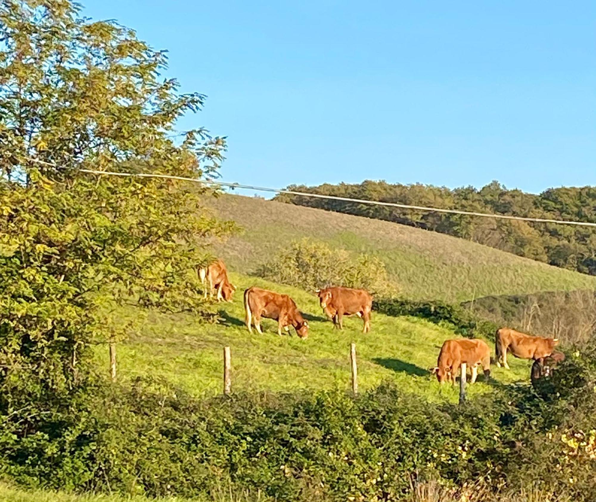 Casa Vacanze Podere San Giusto Volterra Bagian luar foto